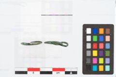 Foto von Bronzering (NHMW-PRAE-026421)
